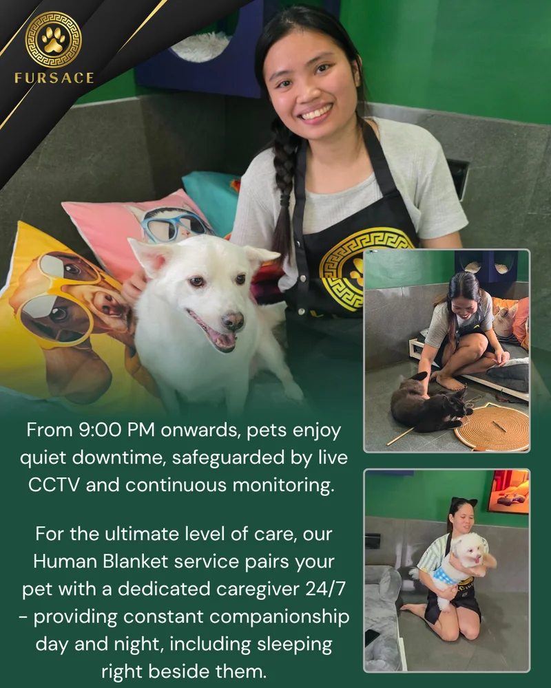 Human Blanket — a Fursace host staying with the pets overnight