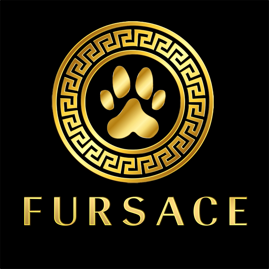 Fursace logo